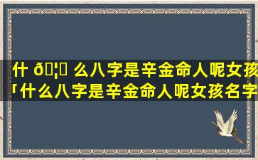 什 🦍 么八字是辛金命人呢女孩「什么八字是辛金命人呢女孩名字」